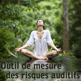 Outil de mesure des risques auditif